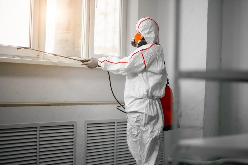 Professional mold remediation services in Dover Foxcroft, ME